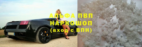 гидра Белокуриха