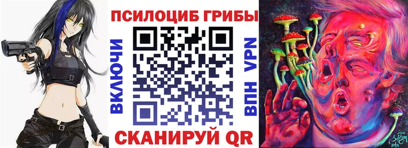 Галлюциногенные грибы Psilocybe  OMG ссылки  даркнет как зайти  Михайлов 