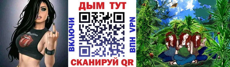 хочу наркоту Михайлов hydra ссылки Бошки марихуана семена